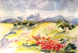 Coquelicots  58 x 38 - Aquarelles
