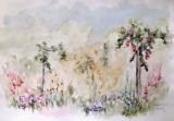 Mon jardin secret 58 x 38 - Aquarelles