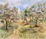 Verger  46 x 38 - Huiles