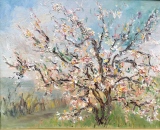 Pommiers en fleurs  41 x 33 - Huiles