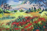 Coquelicots  41 x 27 - Huiles